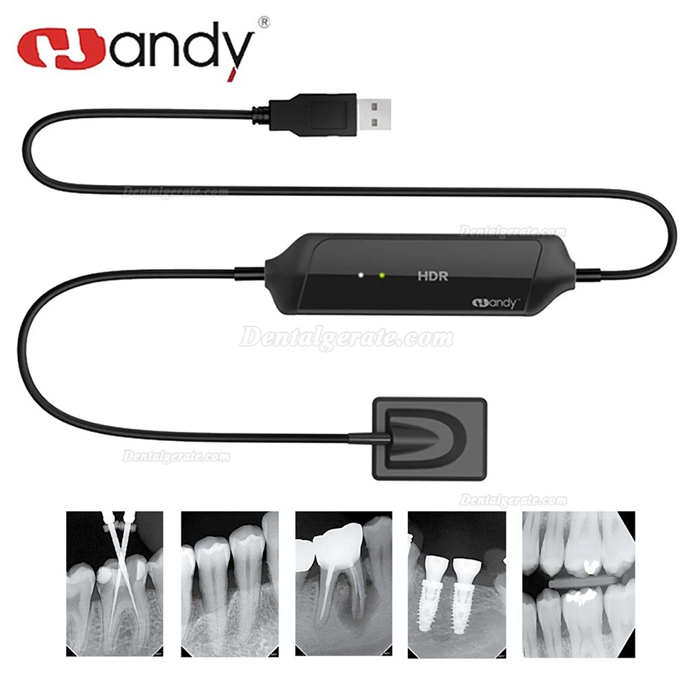 Handy HDR-600A Digitaler Intraorale R&ouml;ntgensensor Zahn&auml;rztlich Intraorale Flachkollektoren